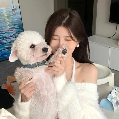 地下室的7人