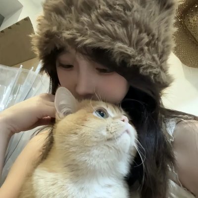 动物方城市2